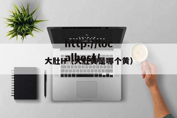 大肚H（大肚黄是哪个黄）