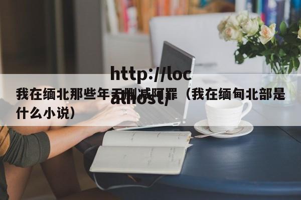 我在缅北那些年无删减阿罪（我在缅甸北部是什么小说）